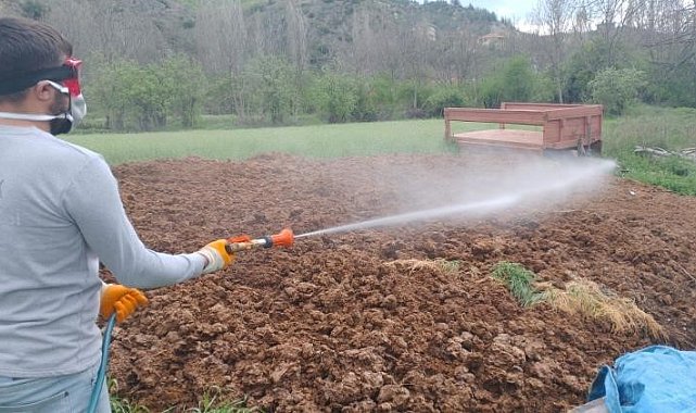 Yaz mevsimi öncesi sağlıklı çevre