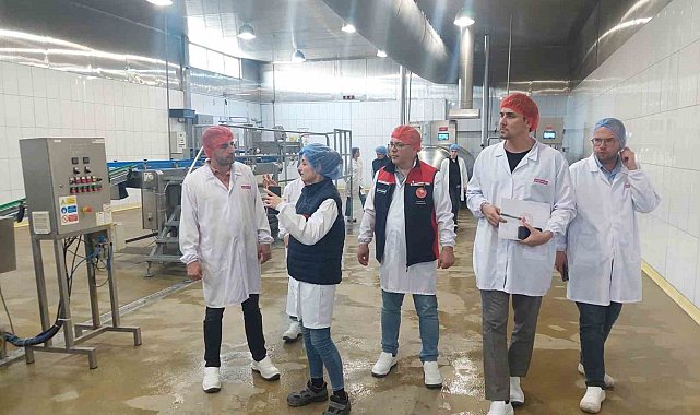 Yem üretim tesislerine detaylı denetim