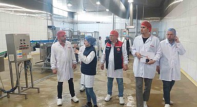 Yem üretim tesislerine detaylı denetim