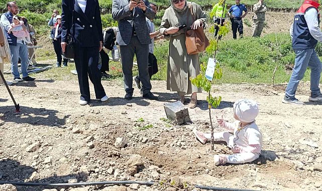 Yeni doğan bebekler hatıra ormanına ilk fidanlar dikildi