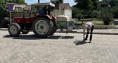 Yenipazar'da haşerelere karşı ortak mücadele