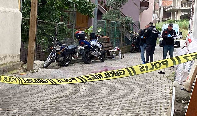 Yer kavgasında abi kardeş arasında kan aktı