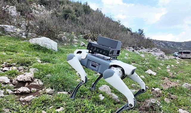 Yerli savunma sanayi firmasından robotik köpek atılımı: "AyBARS"