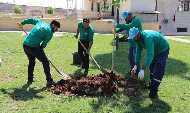 Yeşil alan çalışmalarıyla yaşamın kalitesi arttırılıyor