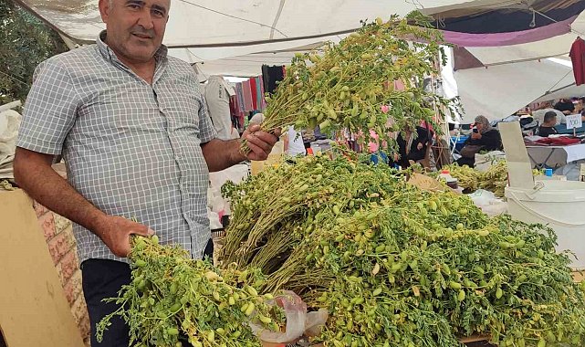 Yeşil nohut tezgahlarda yerini aldı