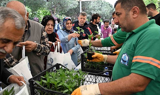 Yıldırım Belediyesi'nden 50 bin fide