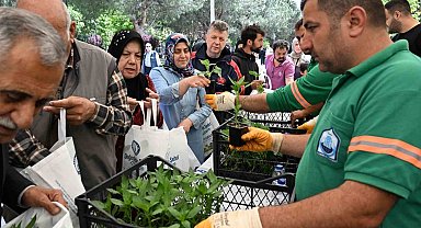 Yıldırım Belediyesi'nden 50 bin fide