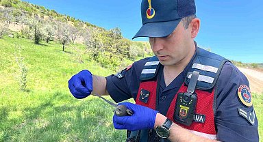 Yozgat'ta yaralı bulunan Ebabil kuşu emin ellerde