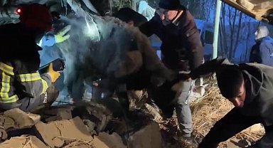 Yüksekova'da ahır çöktü: Köylüler ve ekipler hayvanlar için seferber oldu