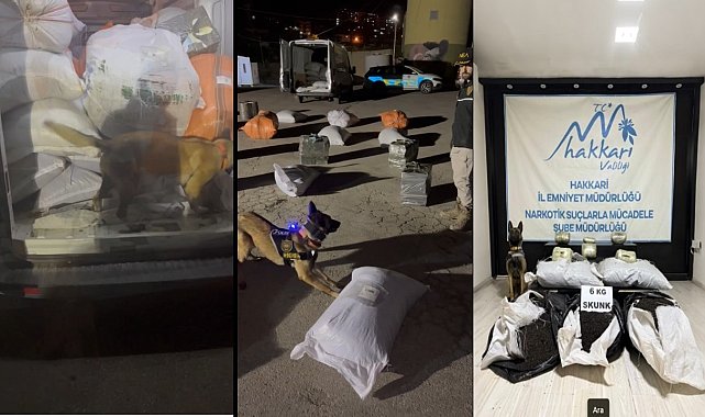 Yüksekova'da kargo aracında 6 kilo skunk ele geçirildi