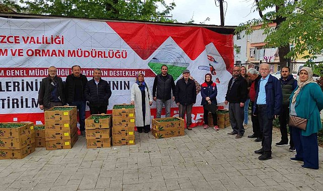 Yüzde 75'i bakanlık destekli fideler çiftçilere dağıtıldı