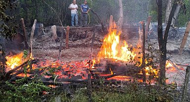 Zonguldak'ta bal üreticisinin barakası yandı