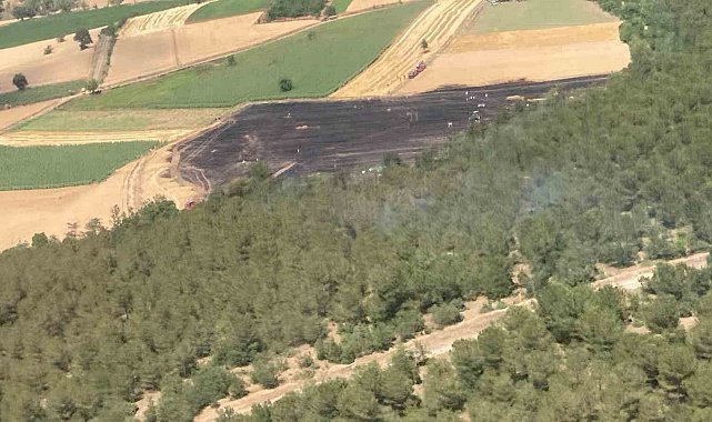 30 dönümlük buğday tarlası küle döndü
