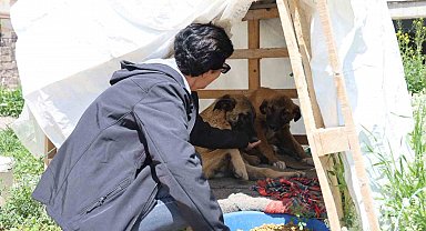 30 yıldır sokak hayvanlarını besliyor