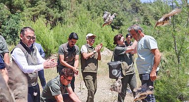 300 kınalı keklik doğaya salındı