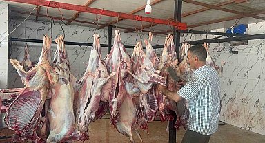 300 yetim ve ihtiyaç sahibi aileye 44 hayvan eti ulaştırıldı