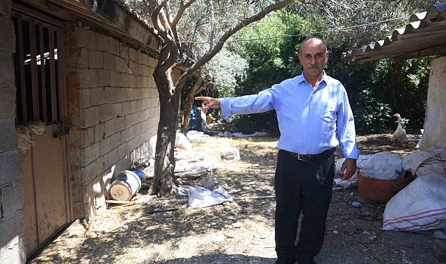 'Bu benim en uysal hayvanım' dediği boğa, karayolunda trafiği durdurarak korku dolu anlar yaşattı