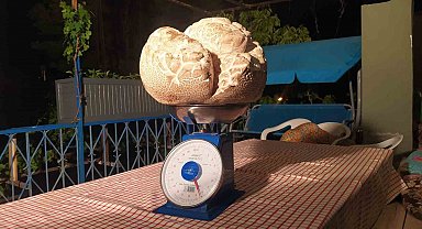 'Hayatımda ilk defa gördüm' dedi, görenler gözlerine inanamadı