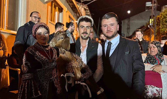 'Tavuk almaya' giden geline oğlak verdiler, gelin şaşkınlığını gizleyemedi