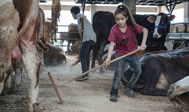 8 yaşındaki Ecrin hayvan pazarının en küçük satıcısı