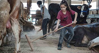 8 yaşındaki Ecrin hayvan pazarının en küçük satıcısı