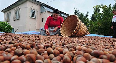 AB ülkelerine 12 bin 851 ton fındık gönderildi