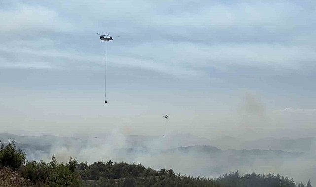 Adana'da orman yangını kontrol altında: 6 gözaltı