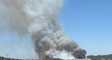 Adana'da orman yangını