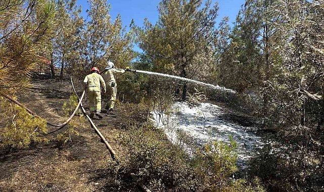 Adana'daki orman yangını kontrol altına alındı