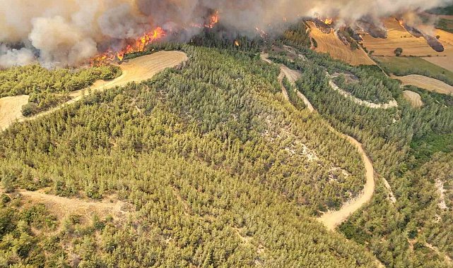 Adana'daki orman yangınına 12 helikopter ve 2 uçakla havadan müdahale