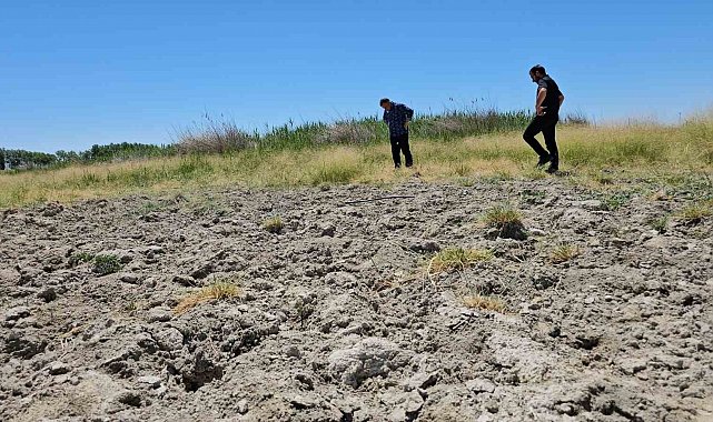 Adilcevaz Heybeli Gölü kurudu