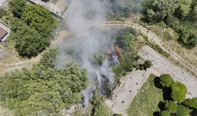 Adilcevaz'da Van Gölü sahilinde yangın paniği: Kafe yakınında sazlık alan yangını