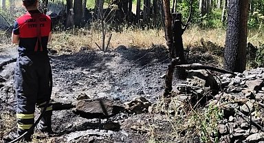 Ağaçlık alandaki örtü yangını söndürüldü