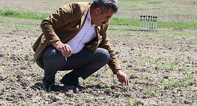 Ağrı Diyadin'de üretim seferberliği