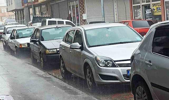 Ahlat'ta şiddetli yağmur etkili oldu