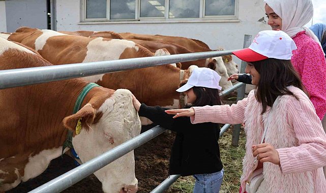 Aileyle üretim yolculuğu: Modern tesislerden tandıra, nesiller buluştu