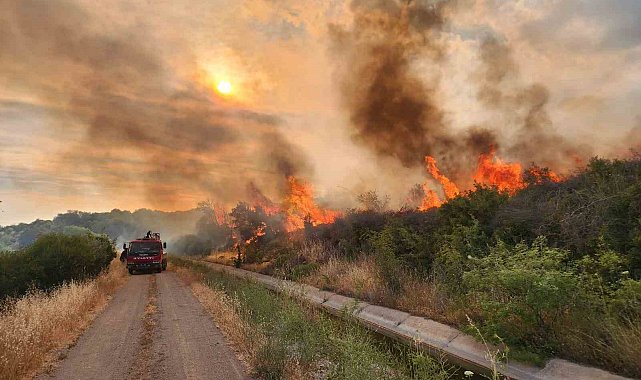 AK Partili Gider, orman yangınlarına karşı vatandaşları sorumluluk ve duyarlılığa davet etti