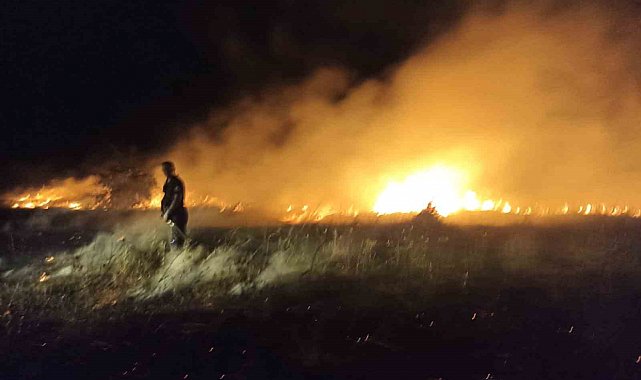 Akçadağ'da bahçe ve sazlık yangını: 25 Kayısı ağacı zarar gördü