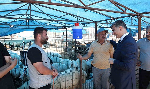 Akdeniz'de kurban satış yerleri hazır
