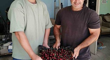 Akşehir'de ilk kiraz hasat edildi