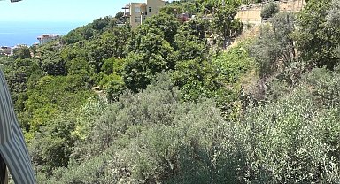 Alanya'da apartmana giren yılana kafa tutan sokak kedisi evin bekçisi oldu