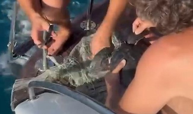 Alanya'da plastik çuvala dolanan yavru caretta caretta balıkçılar tarafından kurtarıldı