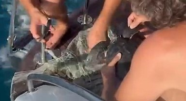 Alanya'da plastik çuvala dolanan yavru caretta caretta balıkçılar tarafından kurtarıldı