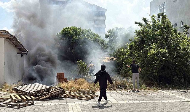 Alevler arasında kalan köpekler son anda kurtarıldı