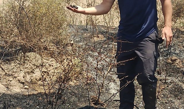 Alevler içinde kalan yavru serçeye, itfaiyeden can suyu