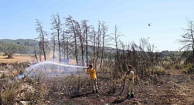 Alevler ormana sıçramadan söndürüldü