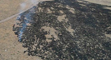 Alevler, tarım arazisine metreler kala kontrol altına alındı: 250 dönüm otluk alan kül oldu