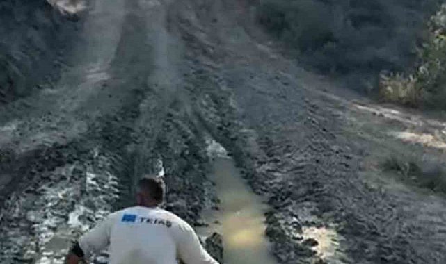 Alevlere elindeki pet şişeyle direndi: O anlar kamerada