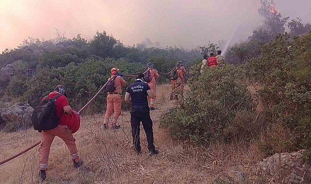 Alevlerin içinde hayatta kalma mücadelesi