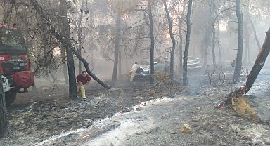 Aliağa ve Foça'da orman yangınında ekiplerin zorlu mücadelesi